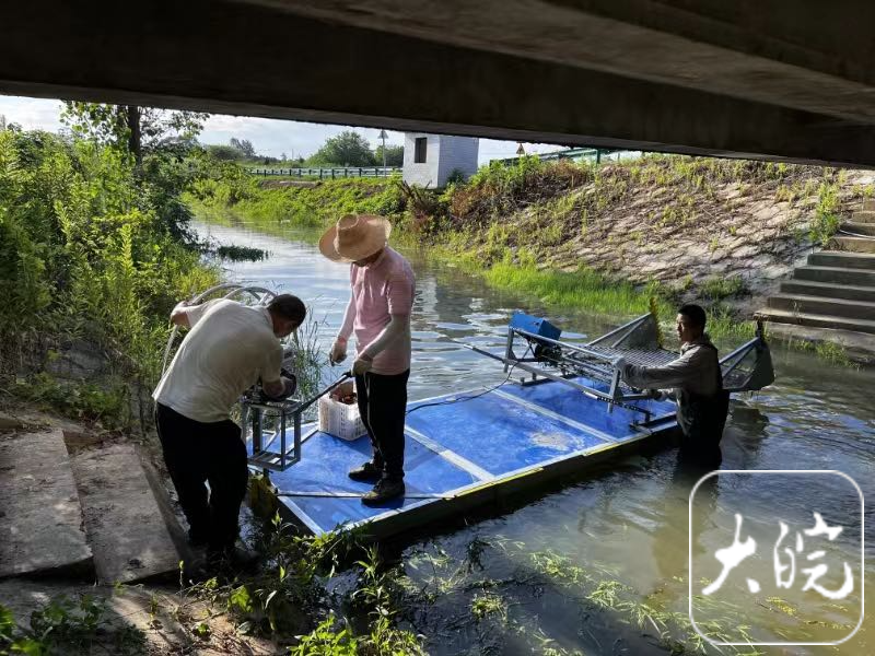 一台机器可顶10个工人合肥用黑科技给水草理发
