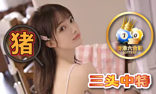 澳门玄武心水版资料V