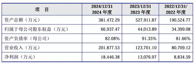 江松科技报考上市：负债率高企2024年现金流量、在手订单回退(图3)