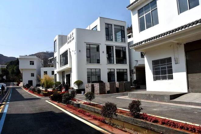 中央媒体走基层“苹”添好日子！昭通绘苹果产业高质量发展新篇章(图5)