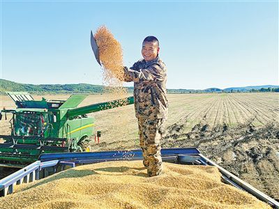 沃野筑“粮仓”年丰好买球的app:风光