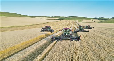 沃野筑“粮仓”年丰好买球的app:风光(图2)