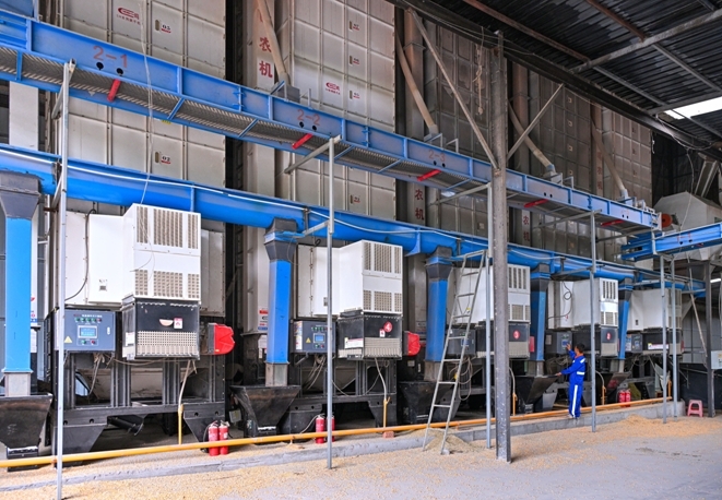 十大买球平台:四川仁寿:筑牢“天府粮仓”根基“丰”景这边独好(图3)