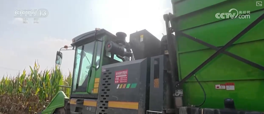 多部门协同护好“粮袋子”“共享晒粮图”上线引导农户就近科学晾晒