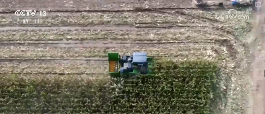 多部门协同护好“粮袋子”“共享晒粮图”上线引导农户就近科学晾晒(图2)