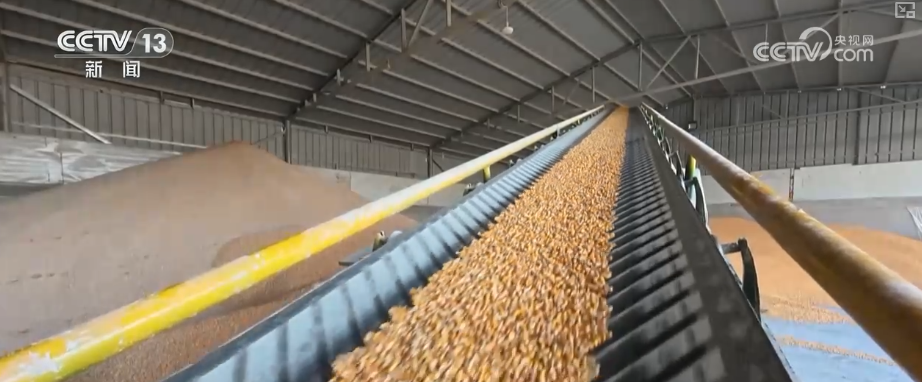 多部门协同护好“粮袋子”“共享晒粮图”上线引导农户就近科学晾晒(图3)