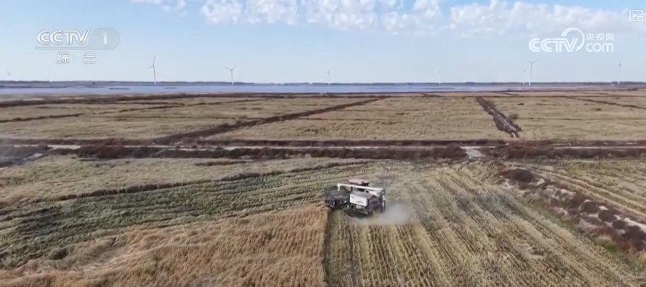 多部门协同护好“粮袋子”“共享晒粮图”上线引导农户就近科学晾晒(图4)