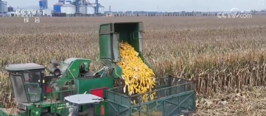 多部门协同护好“粮袋子”“共享晒粮图”上线引导农户就近科学晾晒(图5)