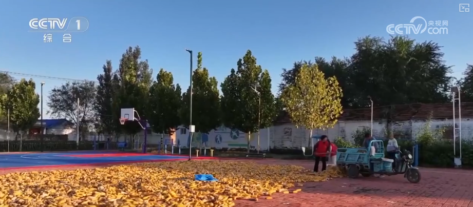 多部门协同护好“粮袋子”“共享晒粮图”上线引导农户就近科学晾晒(图10)