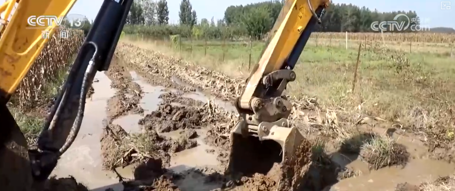 多部门协同护好“粮袋子”“共享晒粮图”上线引导农户就近科学晾晒(图11)