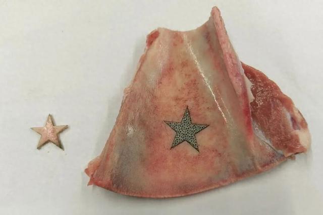 怀柔孵化硬科技企业莱仕博折桂全国大赛