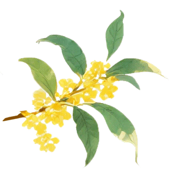 大风降温！0℃！接下来还有雨！橙色预警！天津这时启动应急响应(图6)