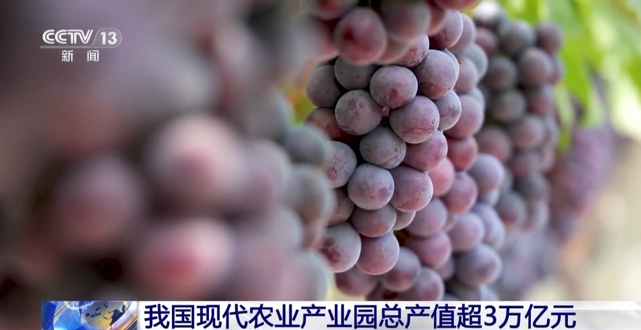 我国现代农业产业园总产值超3万亿元