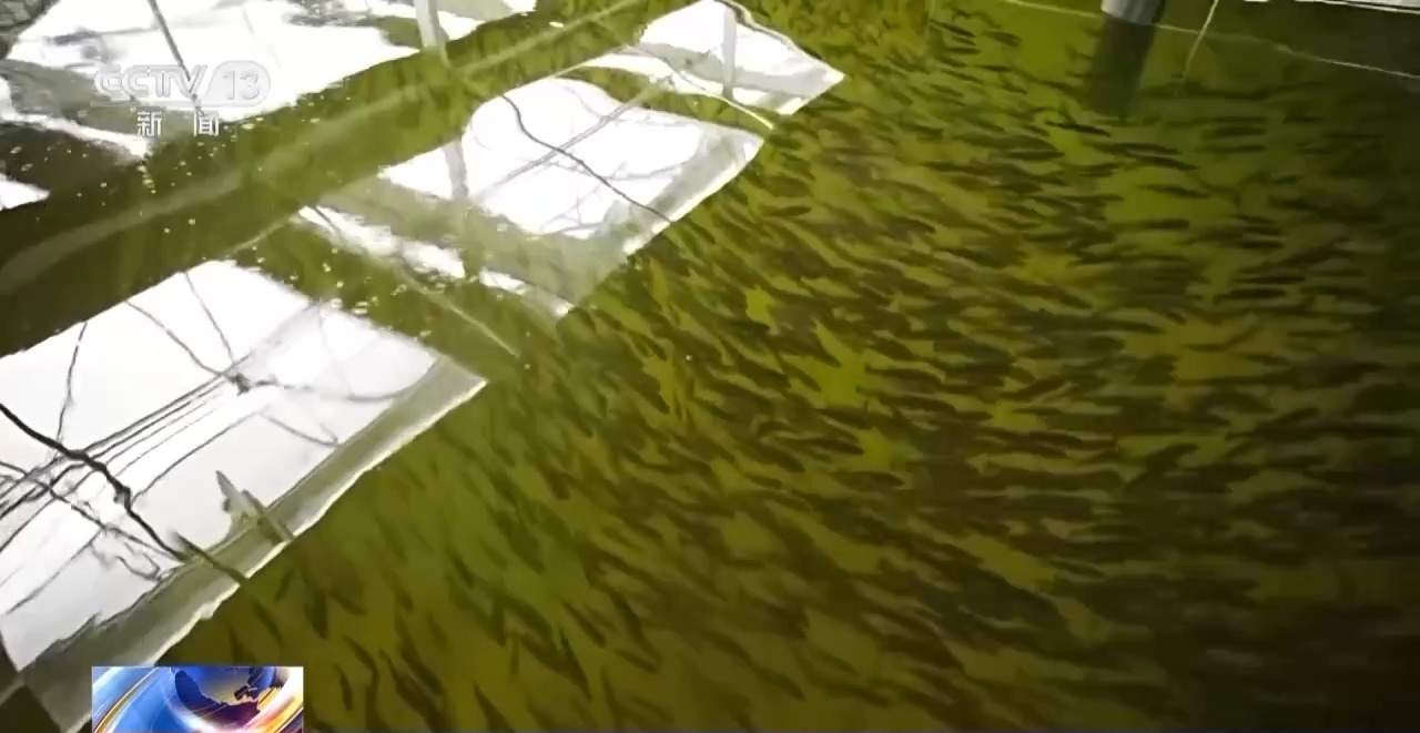 我国现代农业产业园总产值超3万亿元(图6)