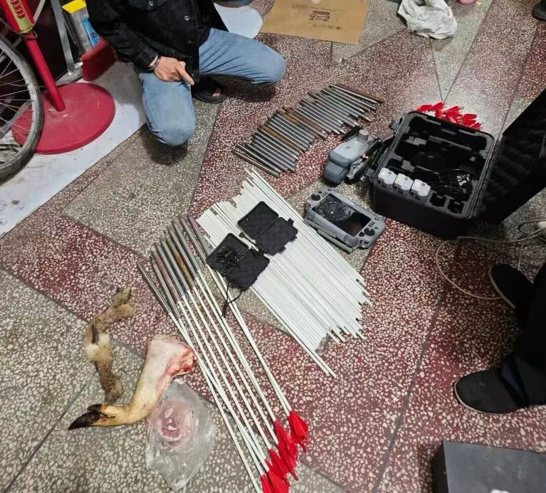 无人机投放金属箭猎捕野生动物“高科技狩猎”存在哪些风险？