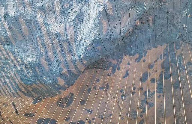 让石头长出“智慧”!南安这位人大代表建议→(图4)