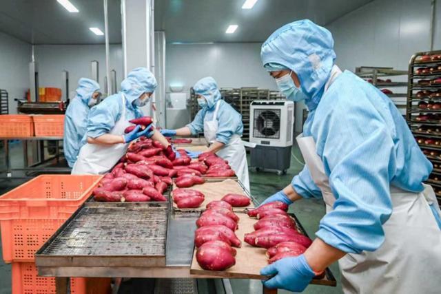 十大买球平台:集群发展串珠成链创新赋能——河北省县域经济发展观察(图5)