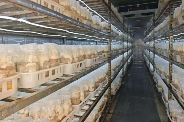 十大买球平台:集群发展串珠成链创新赋能——河北省县域经济发展观察(图6)