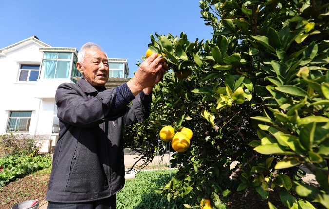 奋楫镇江：改革潮阔开放风劲民生安康(图3)