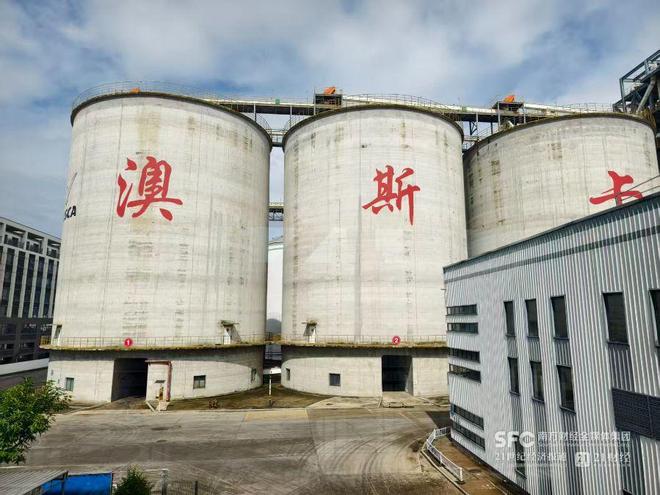 海南的秘密引擎：洋浦港“加速度”背后的国家战略(图3)