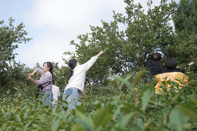 绘浓绿水青山底色激活林业发展动能(图2)
