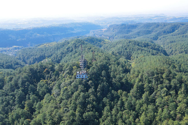 绘浓绿水青山底色激活林业发展动能