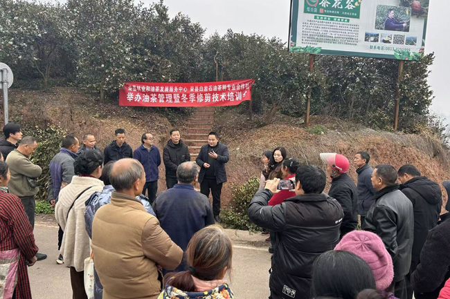 绘浓绿水青山底色激活林业发展动能(图4)