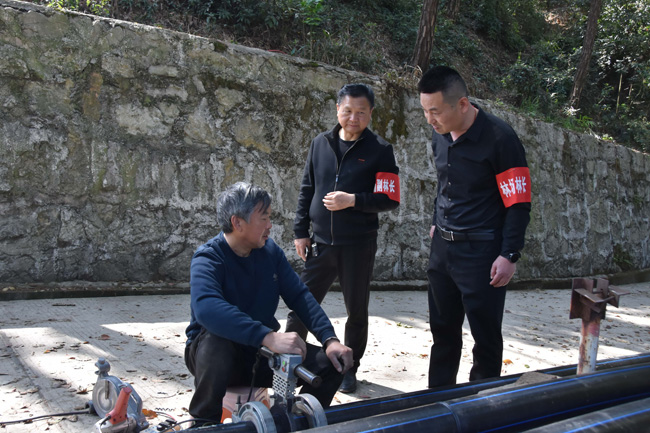 绘浓绿水青山底色激活林业发展动能(图5)