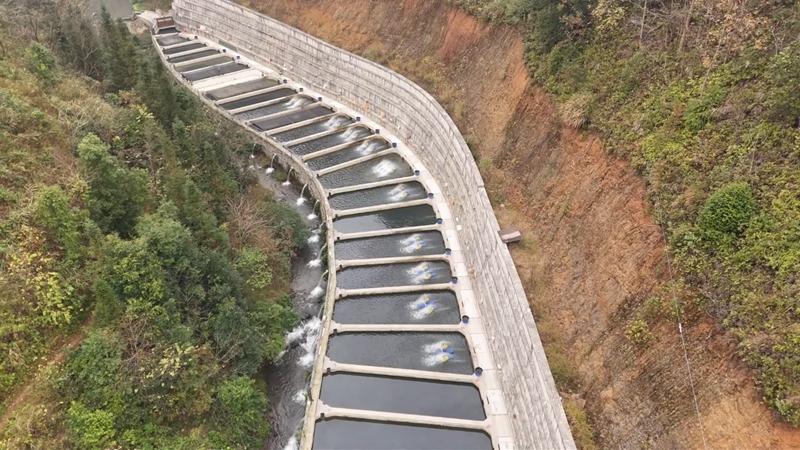 镇宁：一条鲟鱼串起乡村振兴产业链