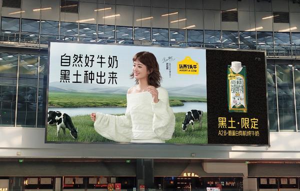 认养一头牛官宣品牌代言人赵丽颖2025年营收突破70亿元