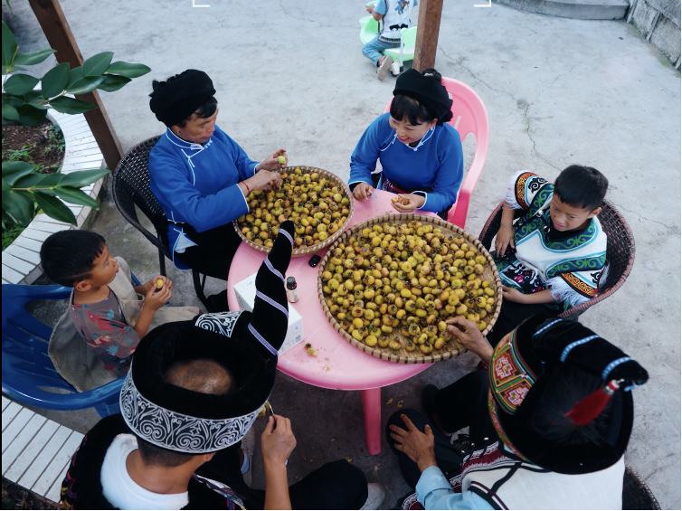 “十五五买球网站：”新起点下的直播电商价值升维：从流量场到系统赋能者(图5)