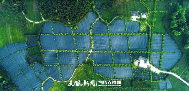 两会观察|构建现代化产业体系贵州实体经济如何用力?(图3)