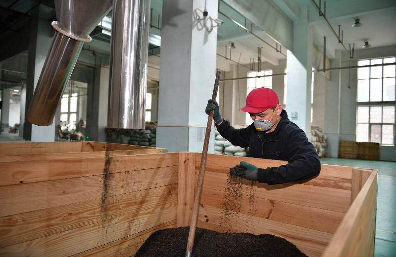 神州答卷丨古都咸阳买球网站：焕新记(图2)