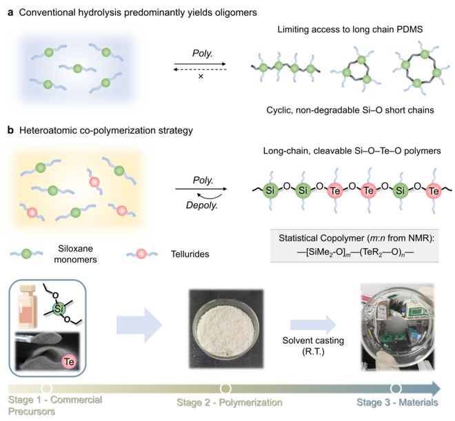 清华大学许华平教授《自然·通讯》：可回收热塑性有机硅弹性体(图2)